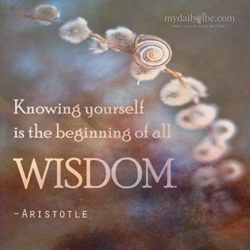 Knowing Yourself by Aristotle