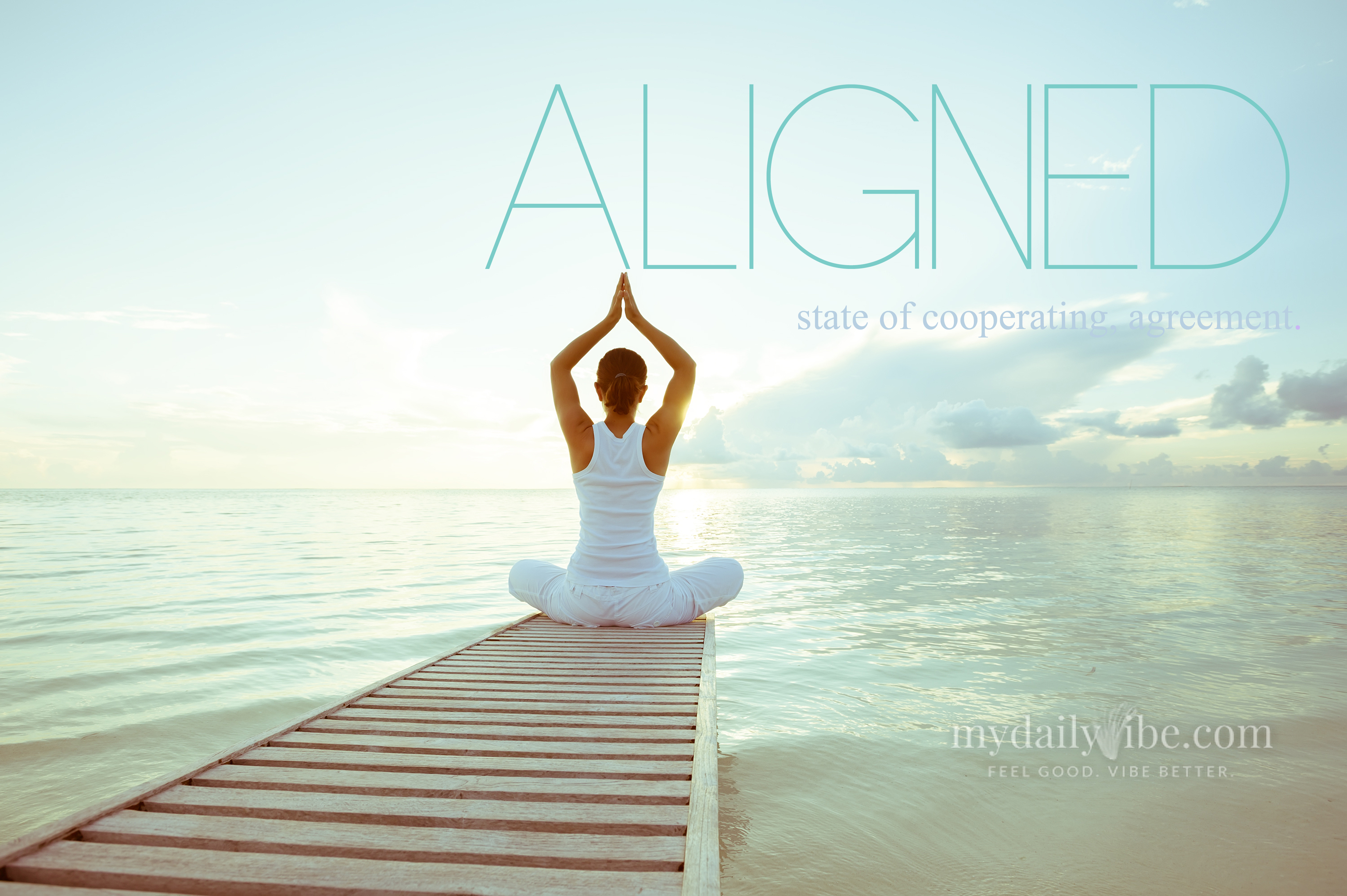 Aligned – state of cooperating, agreement